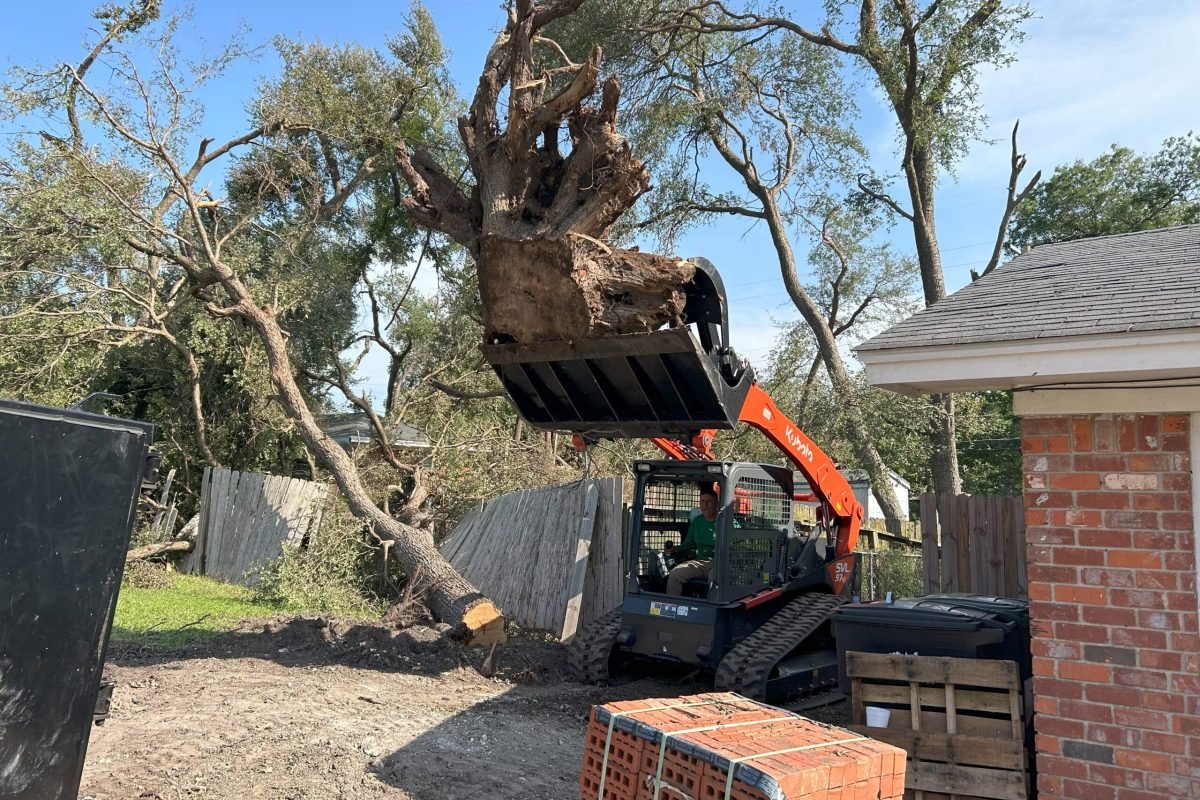 Stump Removal